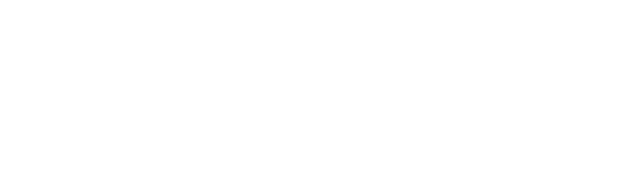 STYLUS